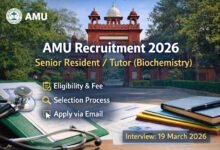 AMU Recruitment 2026 Teacher
