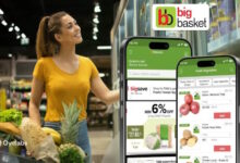 BigBasket Careers Job Opportunities, Company Overview, Financials, and Growth Potential