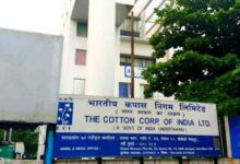 Cotton Corporation of India (CCI) Recruitment 2025 – Apply for Office Staff & Field Staff