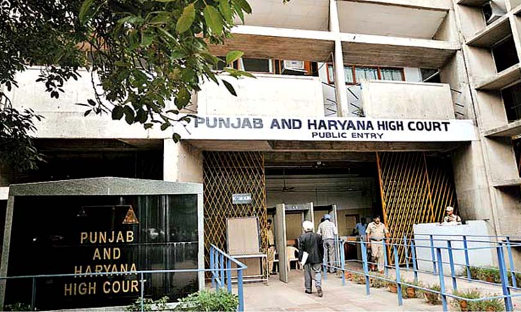 Punjab and Haryana High Court Recruitment 2025 Notification for 897 Stenographer Posts -Apply Here